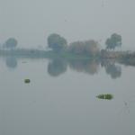 Vraj-Yatra-2014- (310)